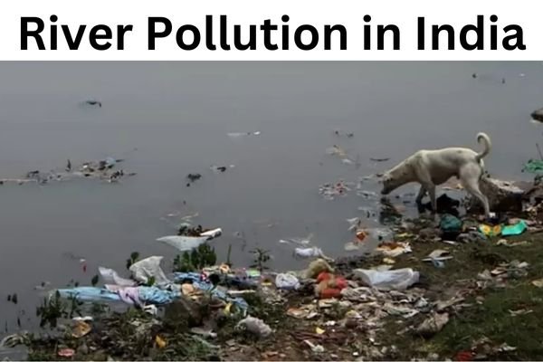 Sources of River Pollution in India