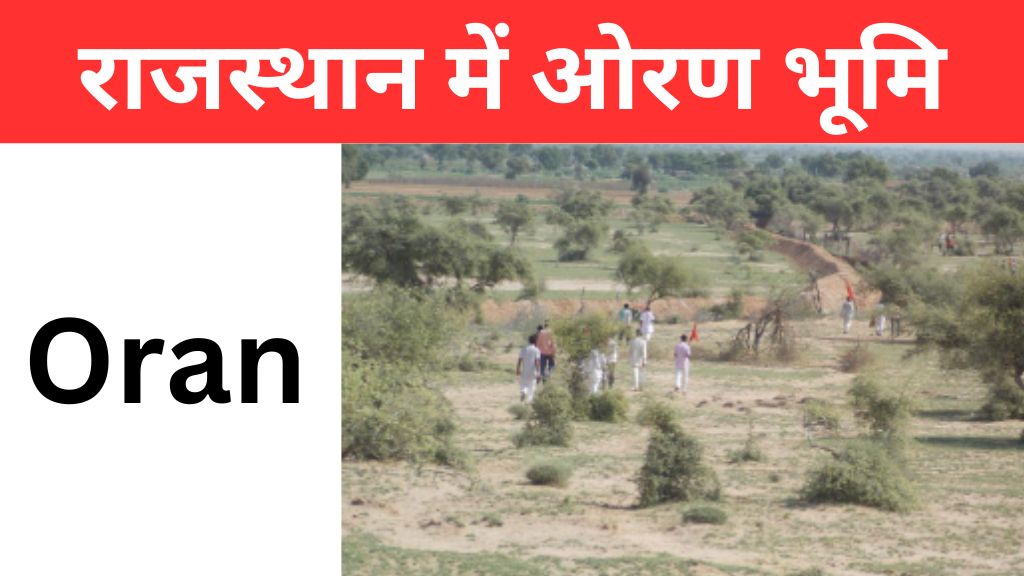 Rajasthan Mein Oran Kya hai